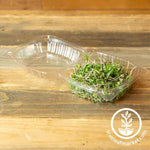 Microgreens Containers - Plastic Microgreens Clamshells Small with Grown Microgreens