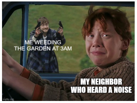 Gardening at night meme