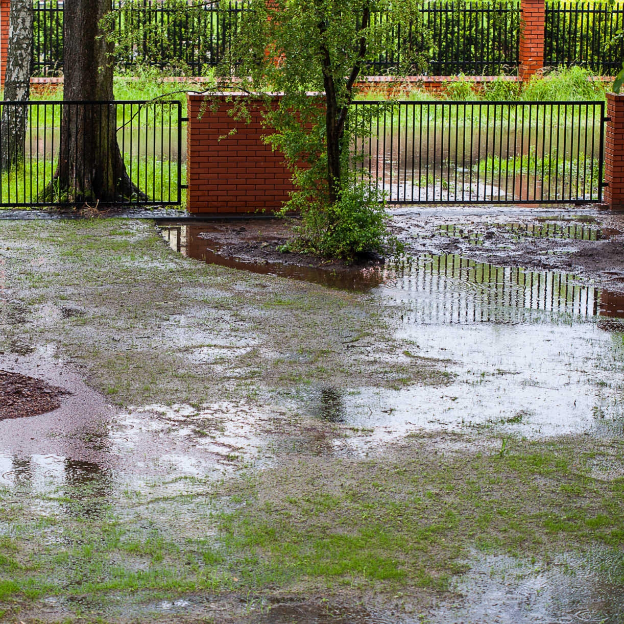 muddy backyard landscape after heavy rainfall