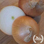 Onion Seeds - Utah Yellow Sweet Spanish (Organic)