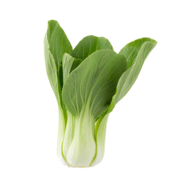 pak choi - Boy Choy