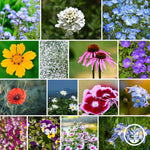 Wildflower Seeds - Shaded Woodland Partial Shade Mix Collage
