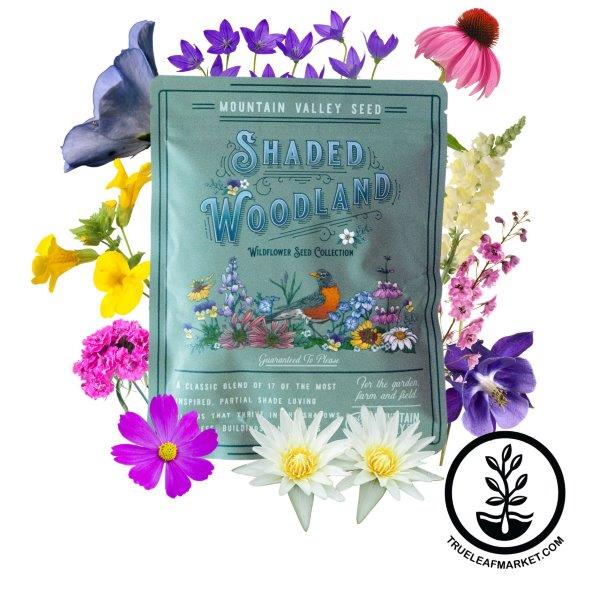 shaded woodland wildflower mix