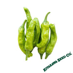 Pepper Seeds - Sweet - Shishito (Organic)