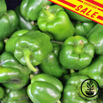 Pepper-Sweet-California-Wonder-overstock-sale