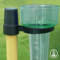 Rain Gauge Up Close