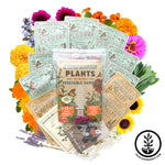 Seed Assortment - Companion Planting