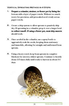 mung bean sprouting instructions 2