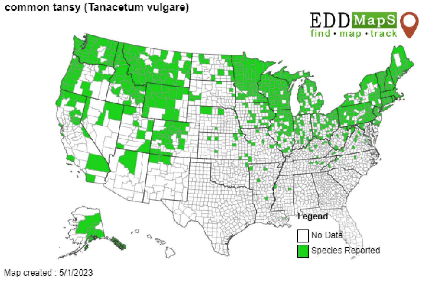 Common Tansy Invasive Plant Map