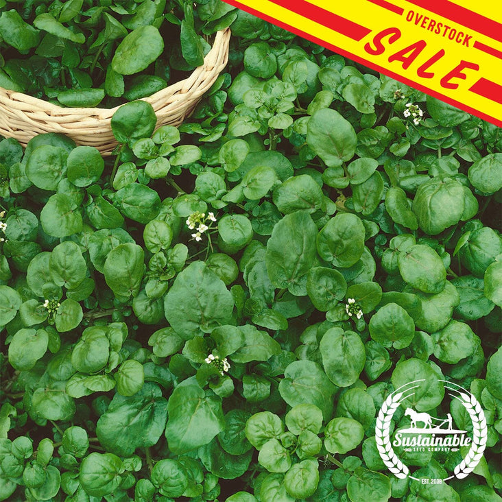 Watercress-True-Organic-OVERSTOCK-SALES