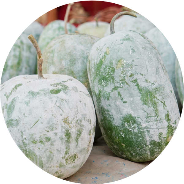 wax gourd - winter melon