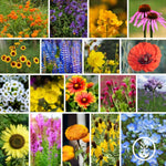 Wildflower Seed Shaker - Save the Bees Collage