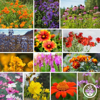 Wildflower Seeds - Save the Monarchs Collage