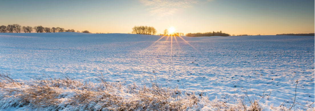 Field Covered in Snow