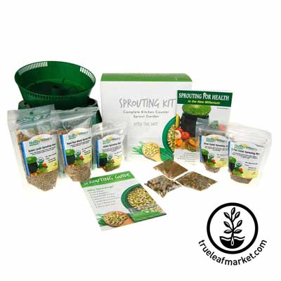 Basic Tray Sprouting Kit