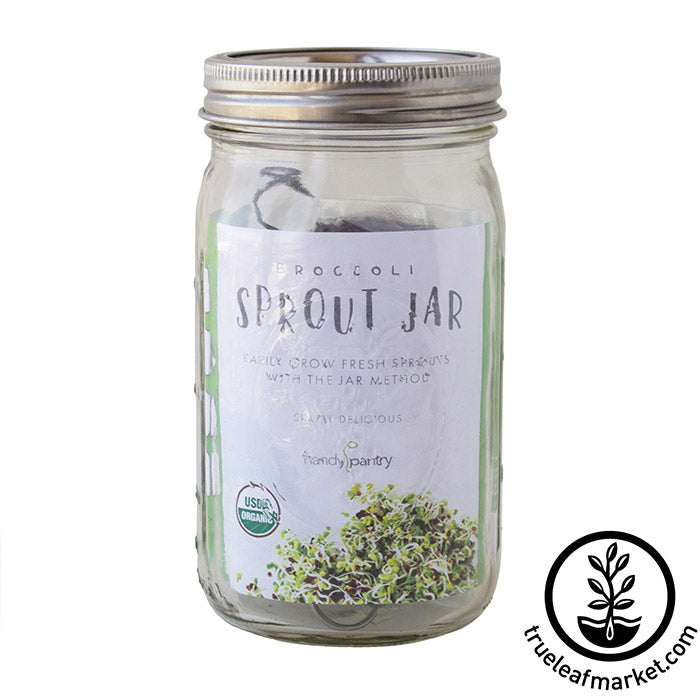 Sprout Jars