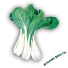 cabbage-seeds-pak-choi-taisai