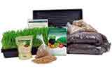 Wheatgrass, sprouting, and garden kit products