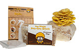 Mushroom Grow Kits