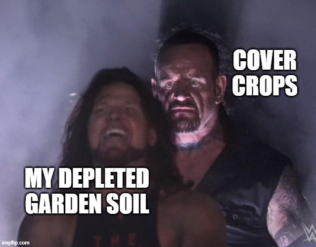 Cover crops versus depleted soil