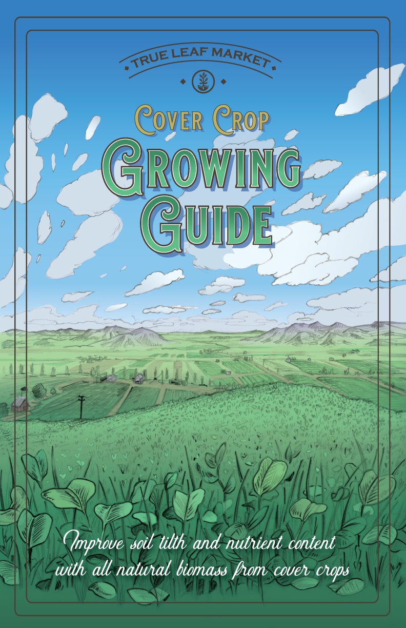 cover crop grow guide