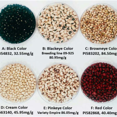 cowpea diversity