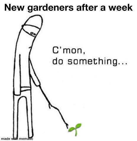 Beginner gardeners meme