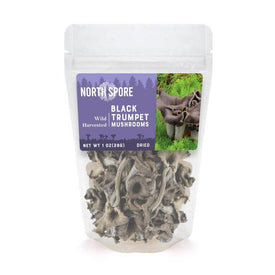 Black Trumpet Wild Harvested Dried Mushrooms