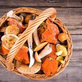 Basket of Lobster Mushrooms