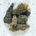 Dried Morel Mushrooms