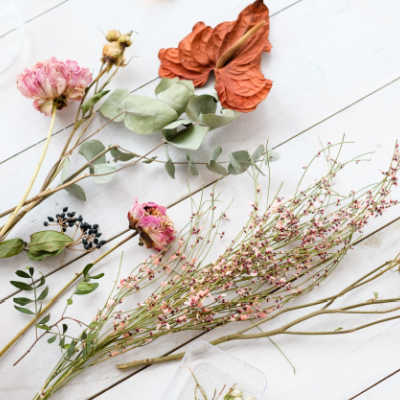 dried flowers