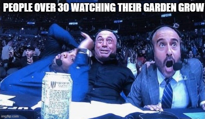 Watching your garden grow meme