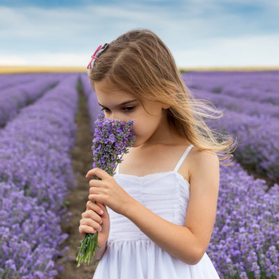 girl smelling cut lavender