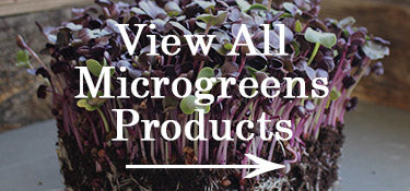 All growing microgreens categories