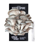 Blue Oyster Mushroom Growing Kit