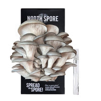 Blue Oyster ‘Spray & Grow’ Mushroom Growing Kit