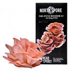 Pink Oyster ‘Spray & Grow’ Mushroom Growing Kit