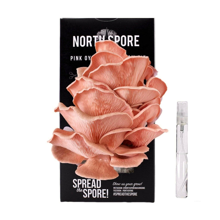 Pink Oyster ‘Spray & Grow’ Mushroom Growing Kit