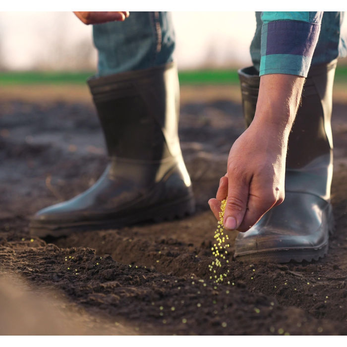 man sowing seeds in soil