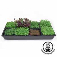 Sectional Hydroponic Microgreens Kit