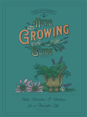 Herb Growing Guide From True Leaf Market