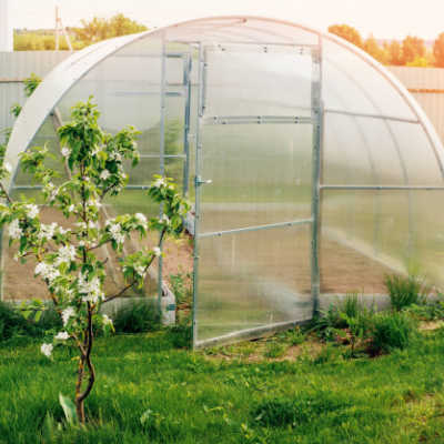 high tunnel greenhouse