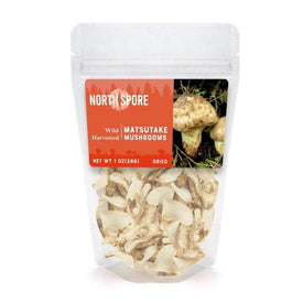 Wild Harvested Dried Matsutake Mushrooms