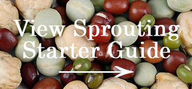 Sprouting Starter Guide