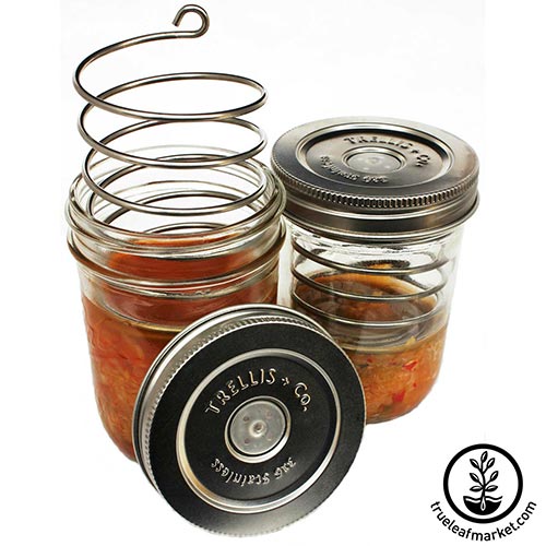 Trellis Stainless Steel Fermenting Kit