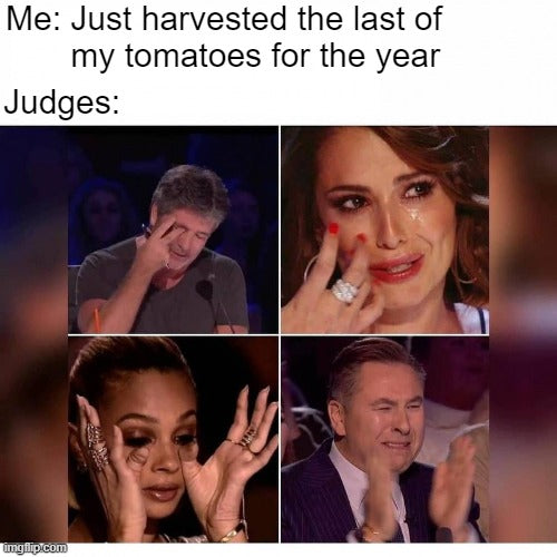 Talent Show Judges meme