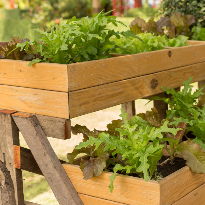 ladder container planter