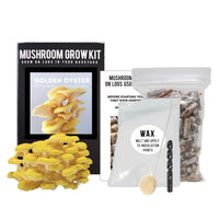 Golden Oyster Mushroom Outdoor Log Growing Kit Components