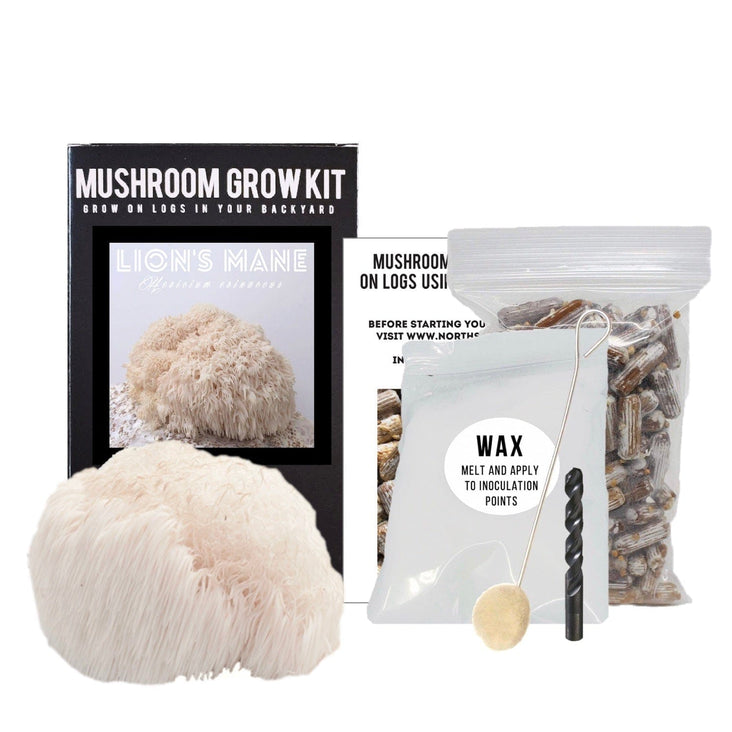  Lion's Mane Mushroom Outdoor Log Growing Kit Components
