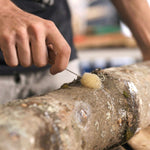 Organic Shiitake Mushroom Outdoor Log Kit In Use